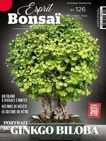 Esprit Bonsai